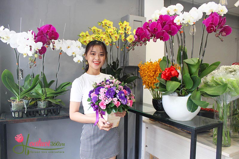 Shop hoa lan hồ điệp giá rẻ 13 Shop hoa lan hồ điệp giá rẻ 13