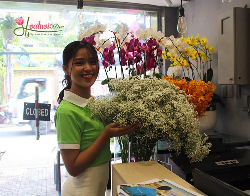 Shop hoa lan hồ điệp giá rẻ 14 Shop hoa lan hồ điệp giá rẻ 14