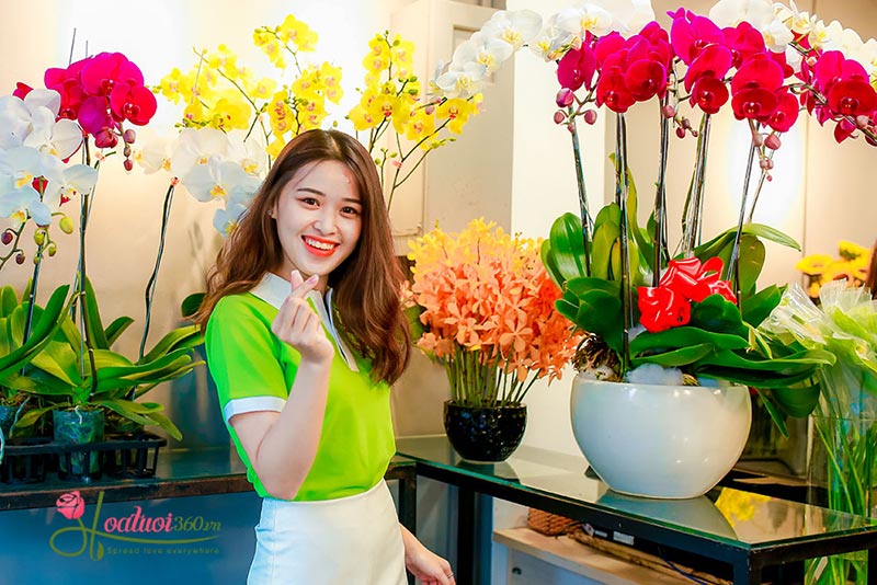 Shop hoa lan hồ điệp giá rẻ 17 Shop hoa lan hồ điệp giá rẻ 17