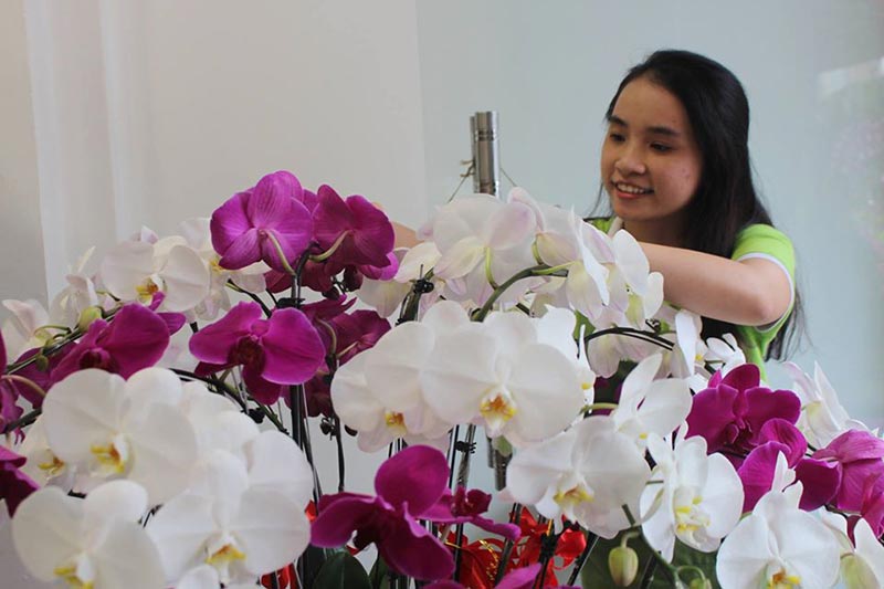 Shop hoa lan hồ điệp giá rẻ 21 Shop hoa lan hồ điệp giá rẻ 21