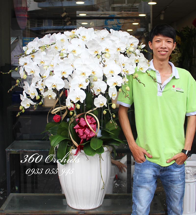 Shop hoa lan hồ điệp giá rẻ 22 Shop hoa lan hồ điệp giá rẻ 22