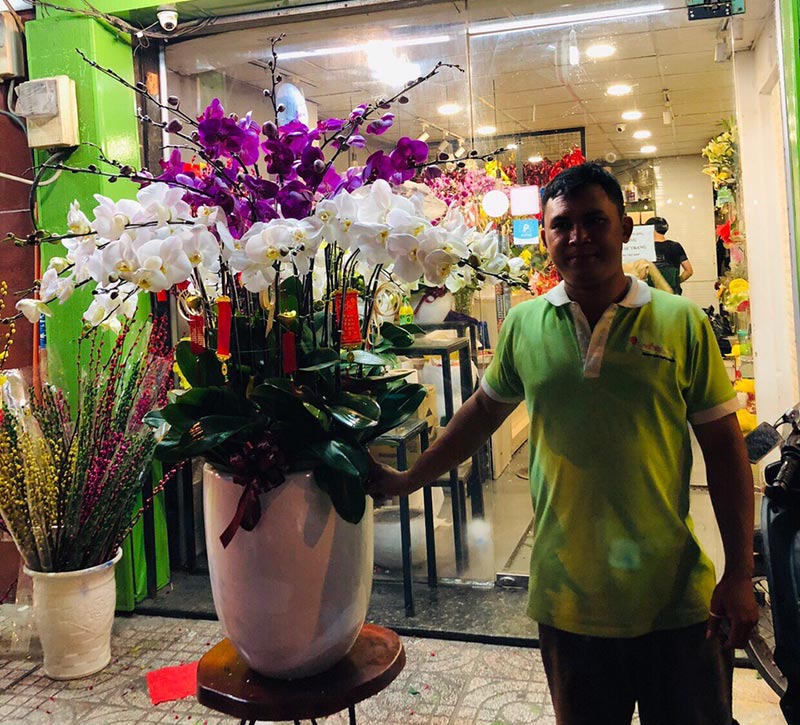 Shop hoa lan hồ điệp giá rẻ 25 Shop hoa lan hồ điệp giá rẻ 25