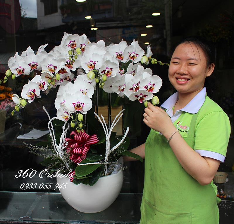 Shop hoa lan hồ điệp giá rẻ 3 Shop hoa lan hồ điệp giá rẻ 3