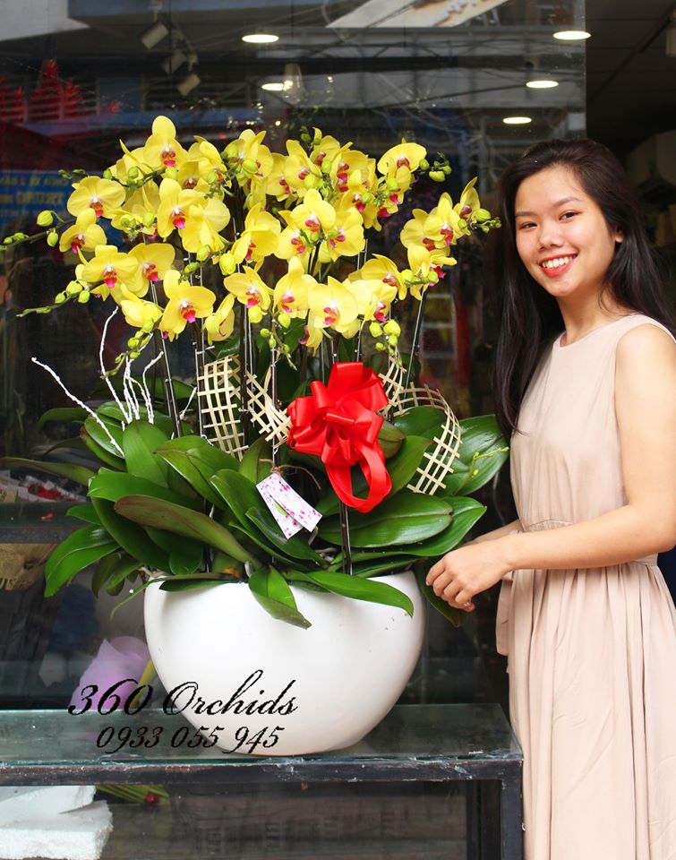 Shop hoa lan hồ điệp giá rẻ 6 Shop hoa lan hồ điệp giá rẻ 6