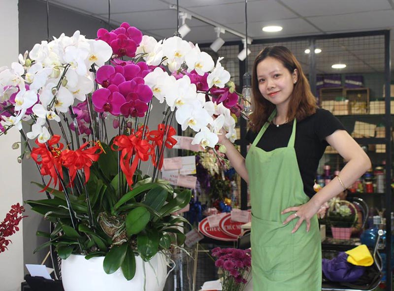 Shop hoa lan hồ điệp giá rẻ 7 Shop hoa lan hồ điệp giá rẻ 7